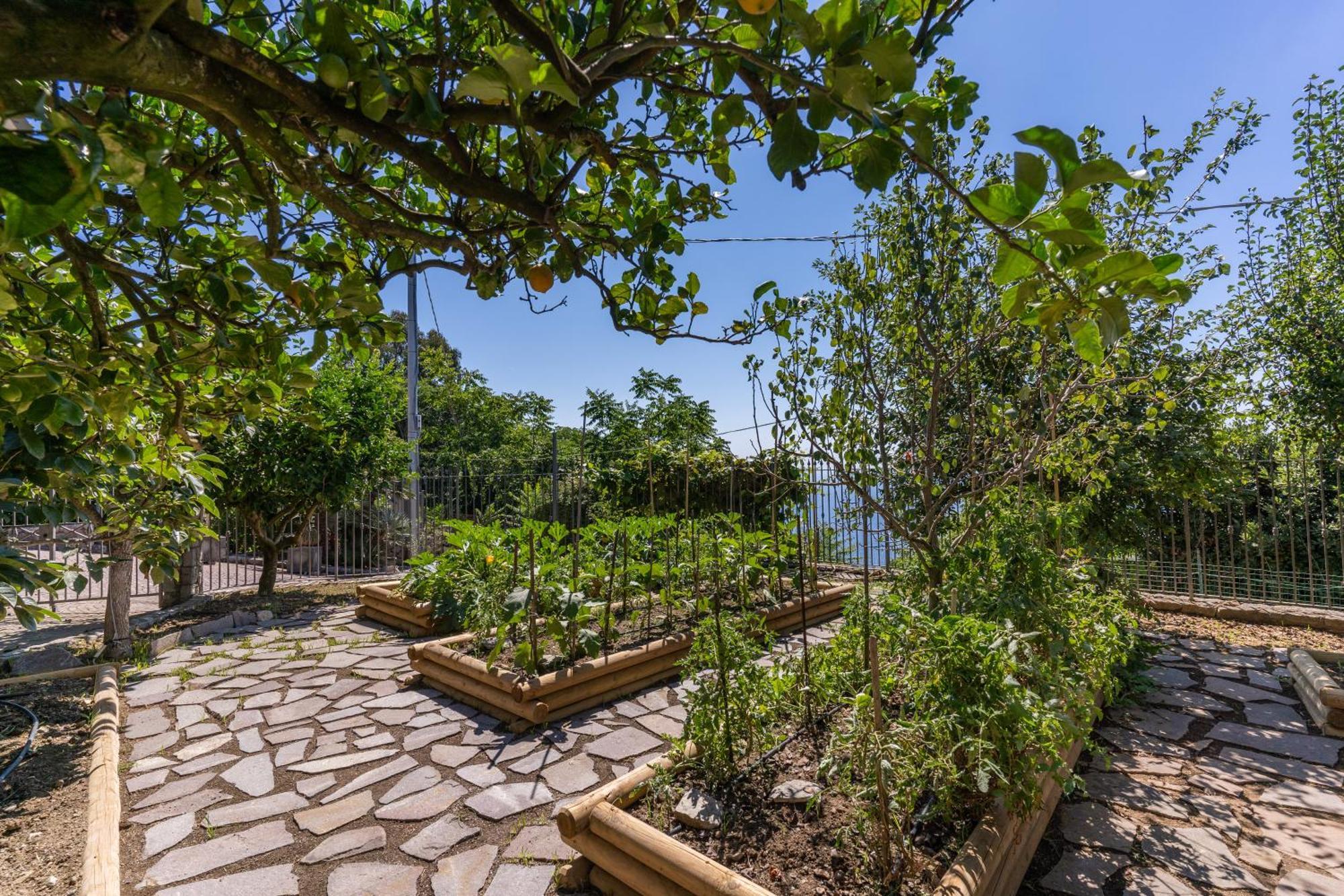 Villa Solatia Massa Lubrense Kültér fotó