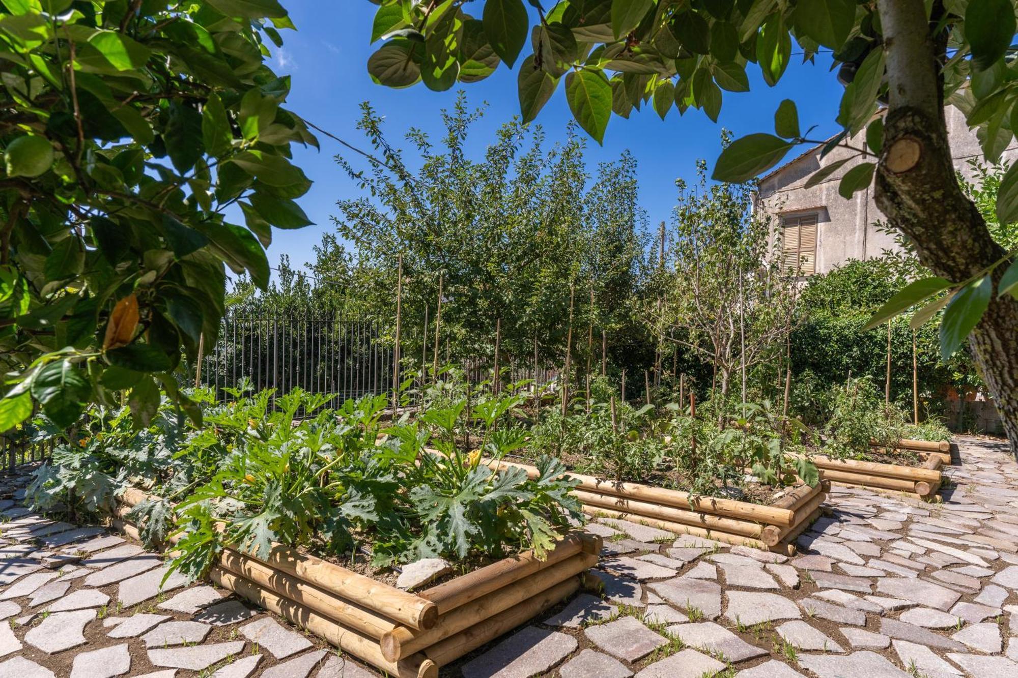 Villa Solatia Massa Lubrense Kültér fotó